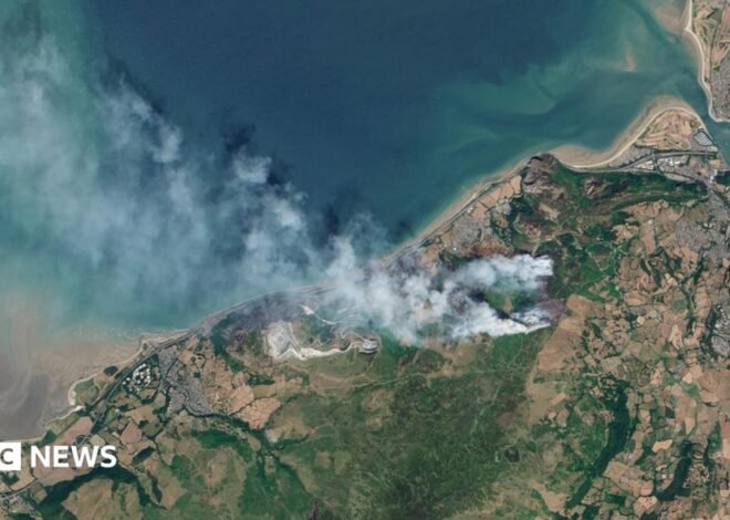 Wales wildfires could see nature take centuries to recover – environmentalists