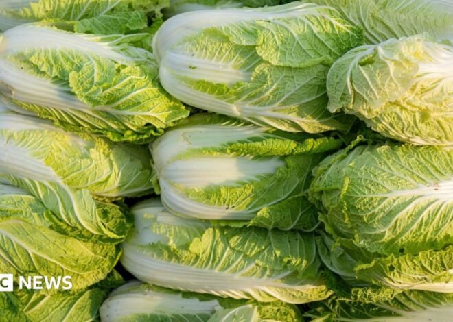 China probes use of formaldehyde to keep cabbages fresh