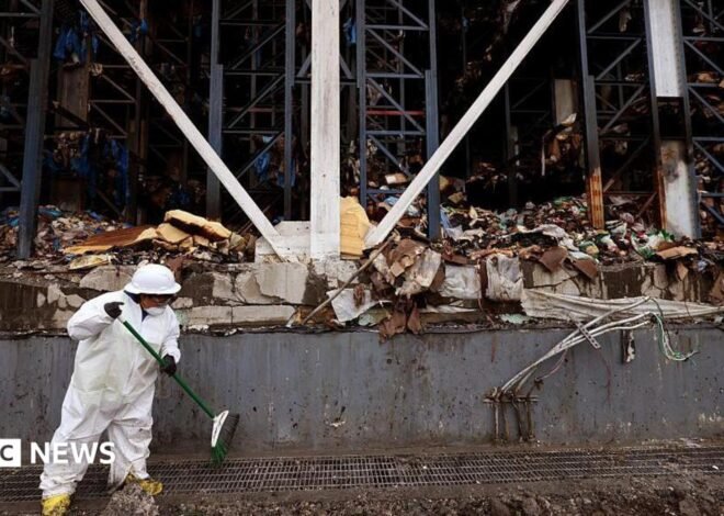 Tonnes of rotting food create unbearable stench in LA neighbourhood
