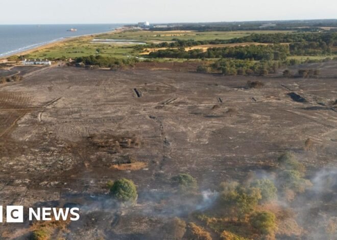 Suffolk wildfire damage captured in latest footage