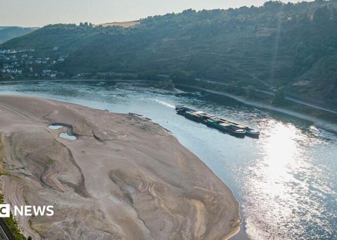Rhine falls to record low levels as drought strains Europe’s rivers