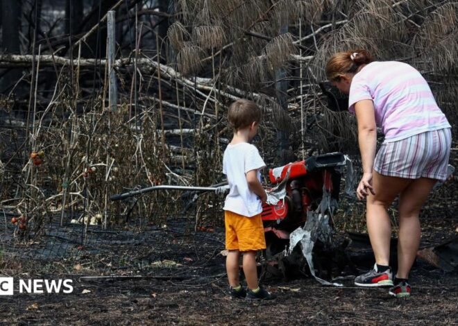 France wildfires reveal hundreds of WW2 shells in village