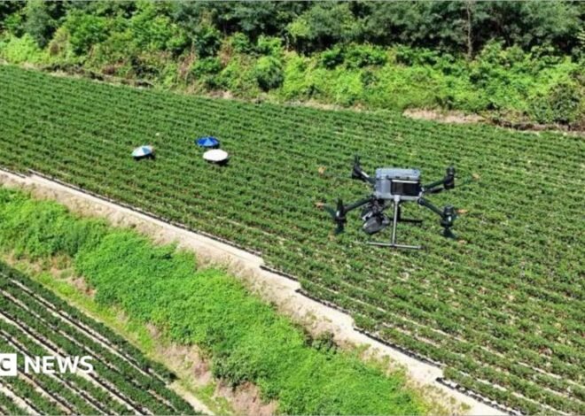 Drone warnings, sheltering in airports: South Korea battles historic heatwave