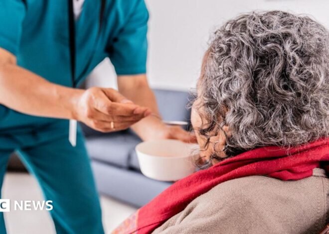 Care worker mistakenly fed Portsmouth woman dog food – report