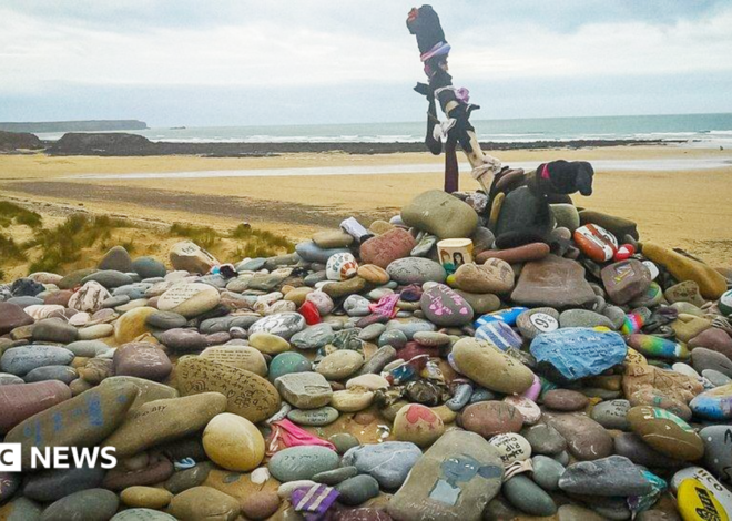 Harry Potter fans force power link diversion to avoid Dobby’s grave