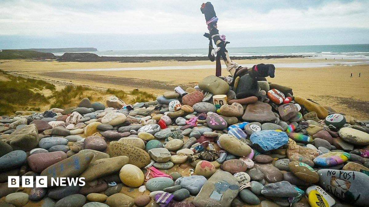 Harry Potter fans force power link diversion to avoid Dobby’s grave