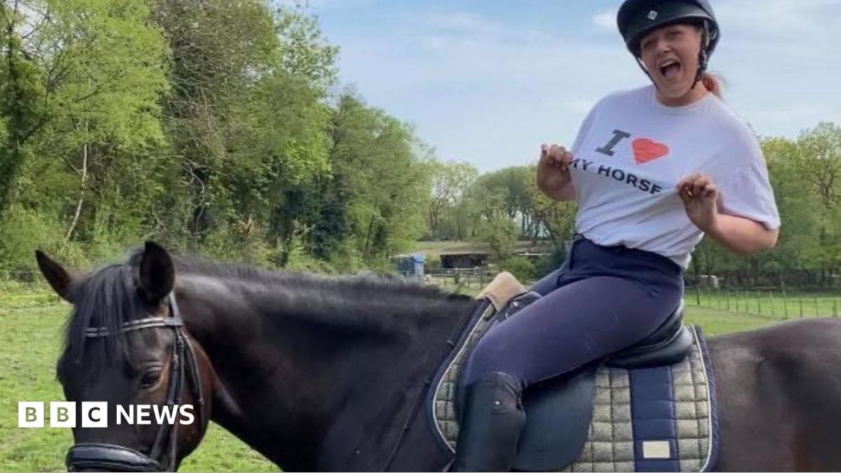 Neath woman alleged to have mis-sold horses via Facebook