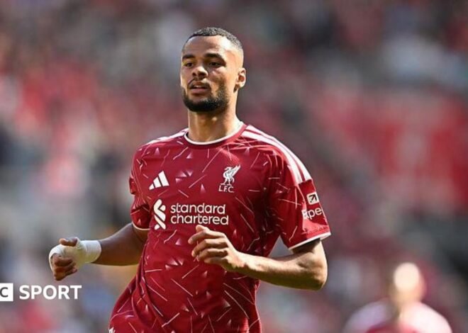 Why Tottenham want Liverpool forward Cody Gakpo