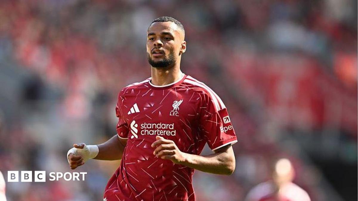Why Tottenham want Liverpool forward Cody Gakpo