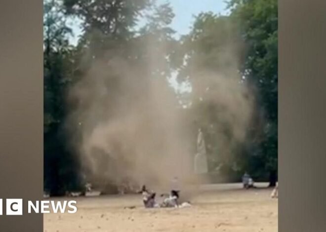 ‘Dust devil’ spins through London park