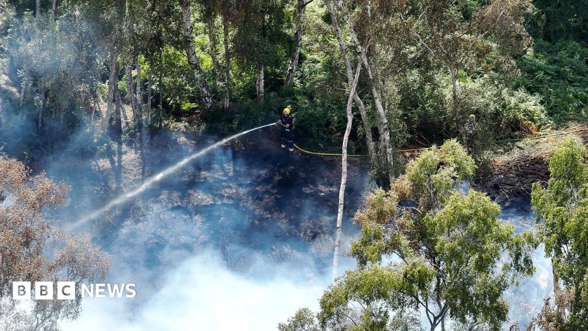 Holme Fen fire like ‘boil in the bag’ for crews