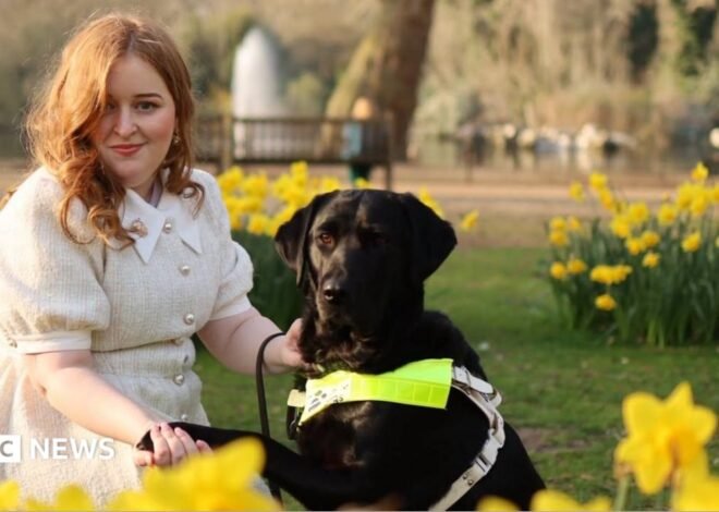 Disabled in a heatwave: ‘We’re talking about survival’