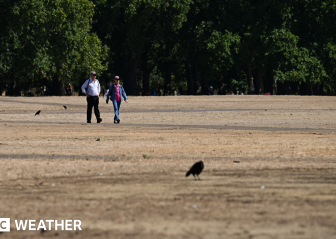 UK weather: Brief relief ahead of fifth heatwave – as more areas could move into drought