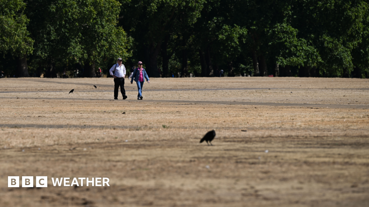 UK weather: Brief relief ahead of fifth heatwave – as more areas could move into drought