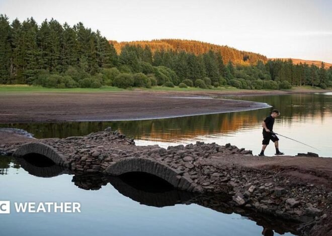 UK weather: Drought likely to be extended this week as heatwave builds