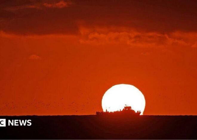 World’s oceans hit highest temperature on record as El Niño grows