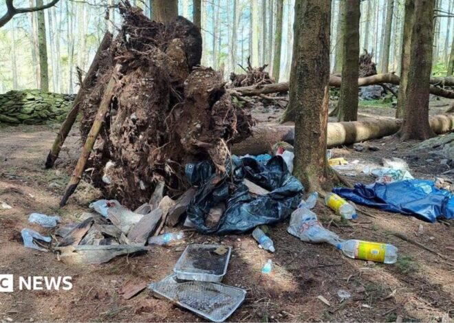 Poo, parking and poor pitching – the Lake District’s summer battles