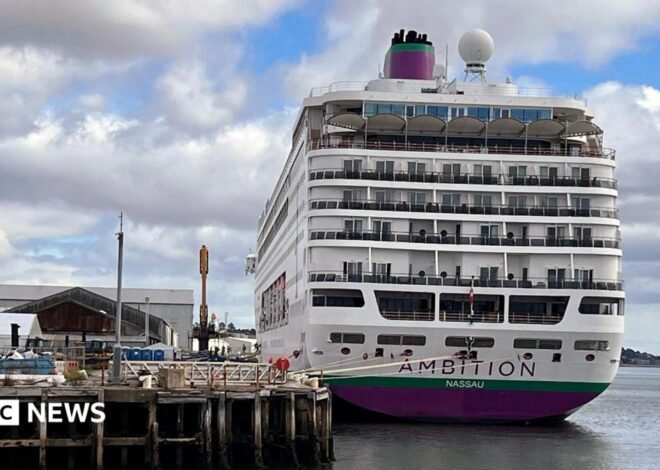 Search launched for man feared to have fallen overboard from cruise