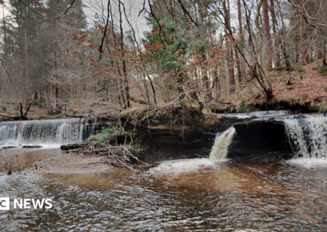 Girl, 11, found dead after search at Midlothian beauty spot