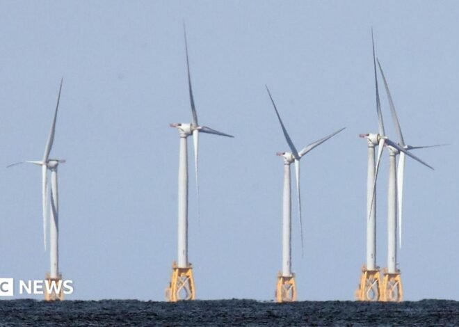 US strikes $1.2bn deal to pay German firm to halt offshore wind projects