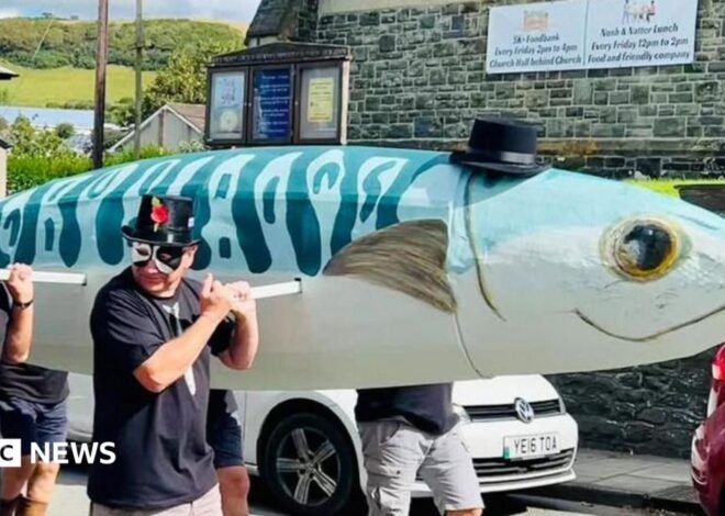 Peta wants Aberaeron Mackerel Fiesta to celebrate cabbage instead
