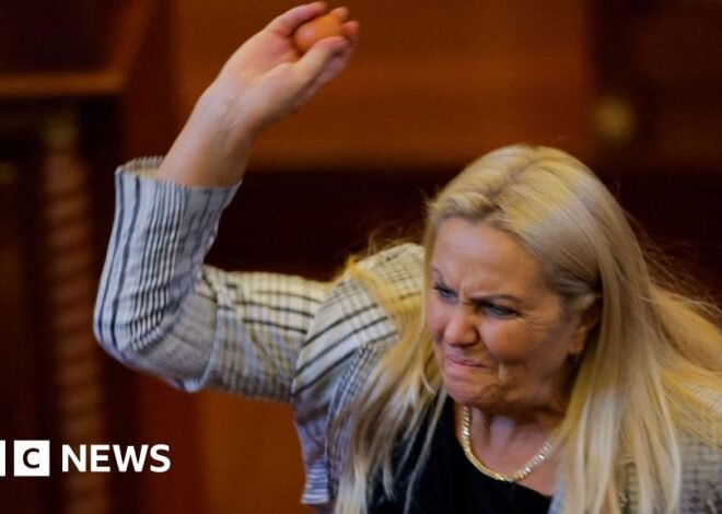 Moment opposition MP throws eggs at prime minister of Kosovo