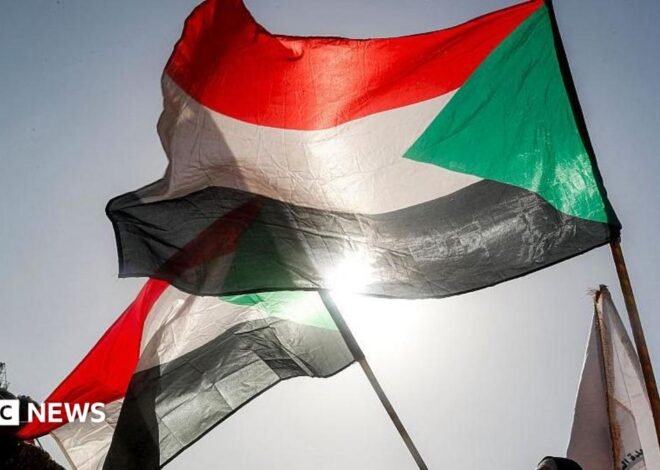Sudan civil war: Army drone strike on Darfur court session kills 35, rights group says