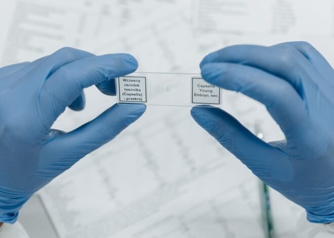 Cornell researchers found a way to spot future hits before they become popular