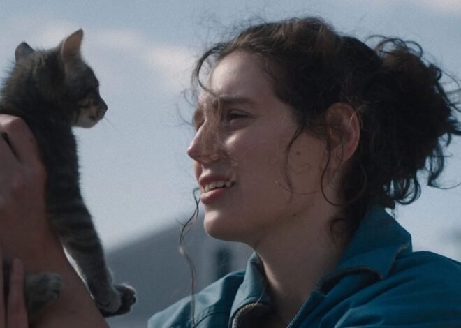 3 underrated movies on HBO Max you should watch this weekend (July 31-August 2)