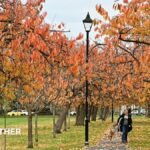 When is the 2026 autumn equinox and what is it?