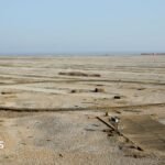 Mystery of concrete ring at Orford Ness ‘solved after 30 years’