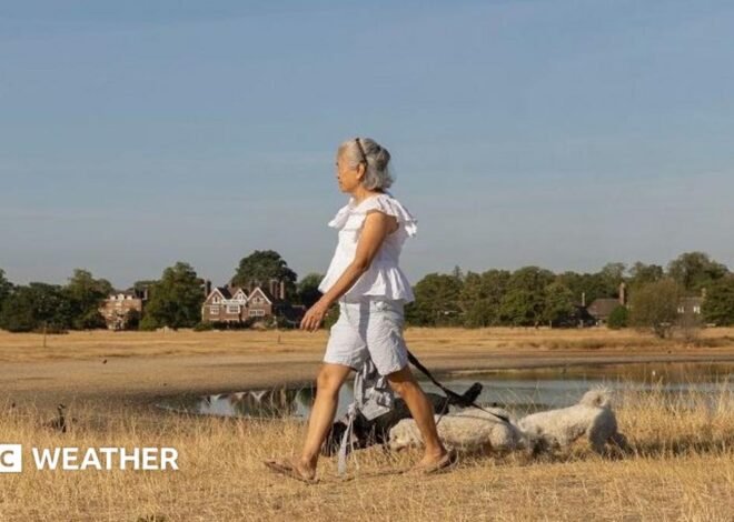 UK weather: Sunshine returns as warmer and drier weather arrives next week