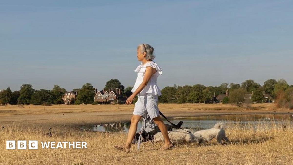 UK weather: Sunshine returns as warmer and drier weather arrives next week