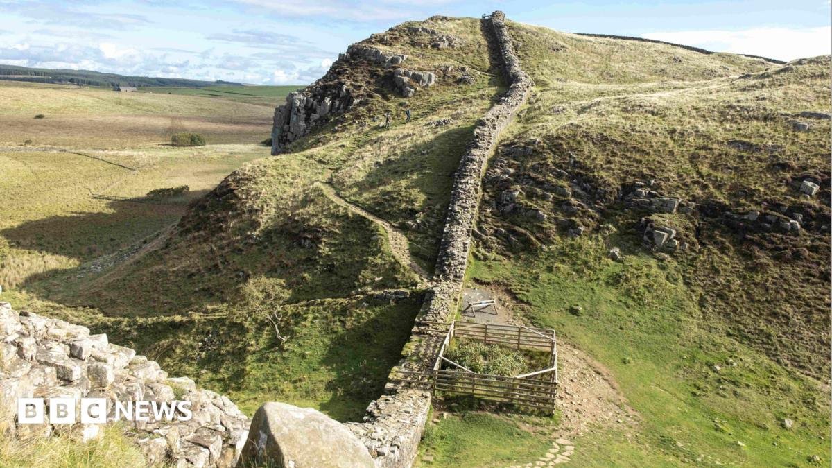 Hadrian’s Wall Sycamore Gap tree stump shows ‘encouraging’ signs
