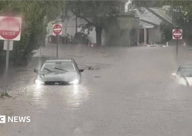Watch: Flash flooding interrupts half-marathon, submerges cars