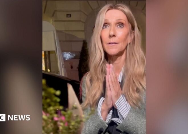 Céline Dion duets with young fan ahead of Paris comeback concert