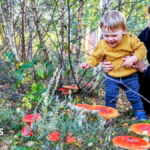Why families are being urged to look closer on autumn walks