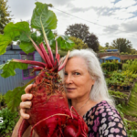 Meet the mangelwurzel: The forgotten root vegetable making a comeback