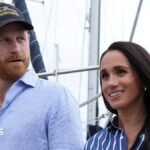 Prince Harry and Meghan not working royals, says King
