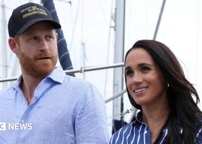 Prince Harry and Meghan not working royals, says King