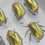 How AI is creating a UK super-museum and revealing our planet's history
