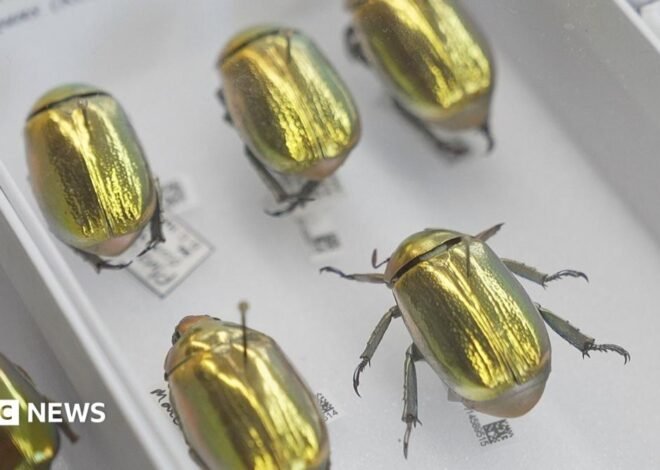 How AI is creating a UK super-museum and revealing our planet's history