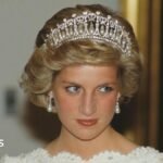 Earl Spencer’s unreleased book on Diana stolen in the Netherlands