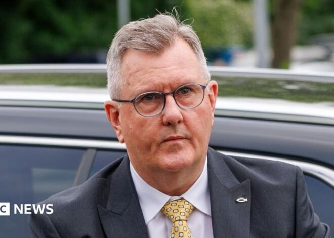 Jeffrey Donaldson’s child sex abuse convictions ‘obliterate’ life’s work
