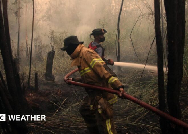 Developing El Niño becomes strongest on record weeks before expected peak