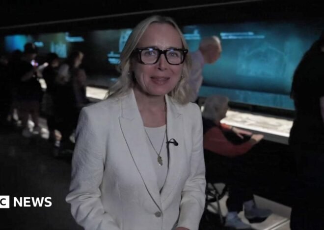 Watch: Is the Bayeux Tapestry exhibition worth the hype?