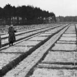 105-year-old investigated over murders at Nazi PoW camp in Germany