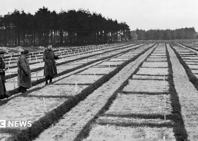 105-year-old investigated over murders at Nazi PoW camp in Germany
