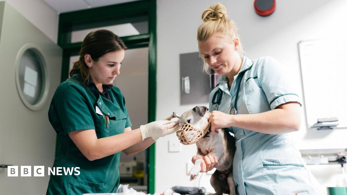 Vet prescription fees to be capped under rule changes
