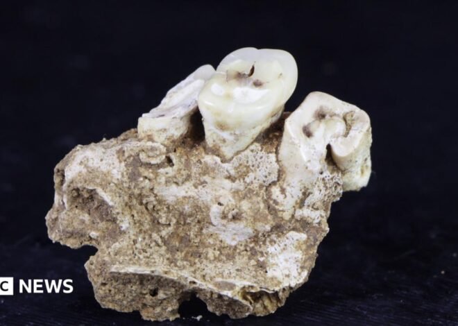 Drug use may have begun 25,000 years ago, new research finds